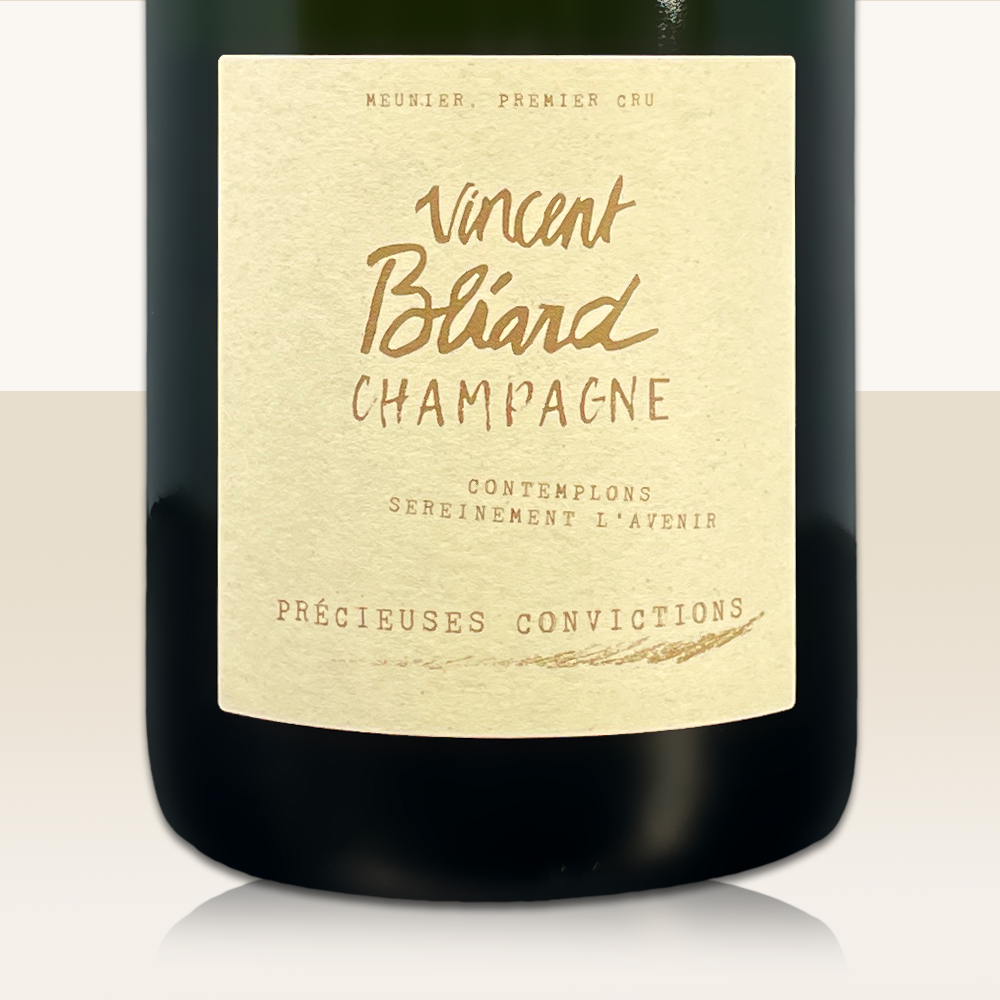 Vincent Bliard Precieuses Convictions - Bio
