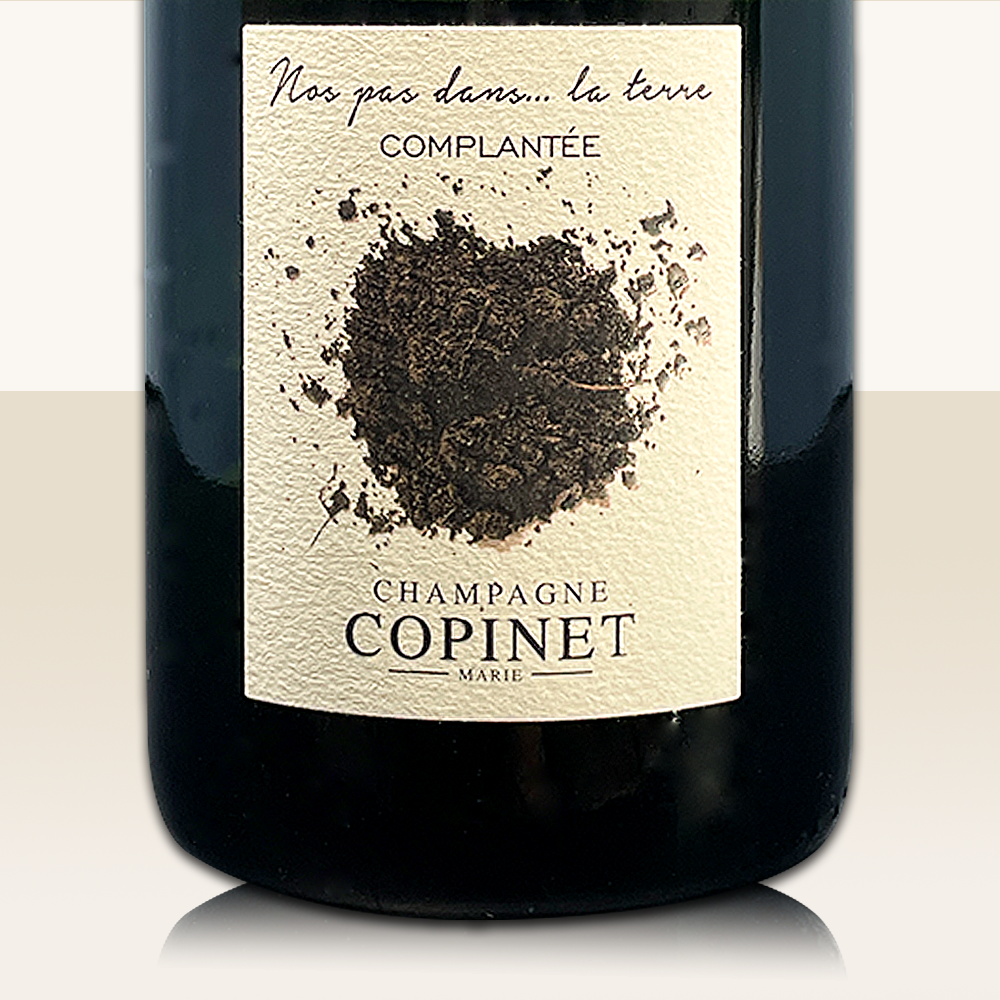 Marie Copinet Nos Pas Dans... La Terre