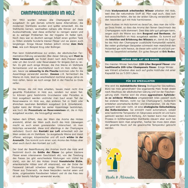 2er Themenpaket "Vergleich Ausbau in Holz vs. Stahl"