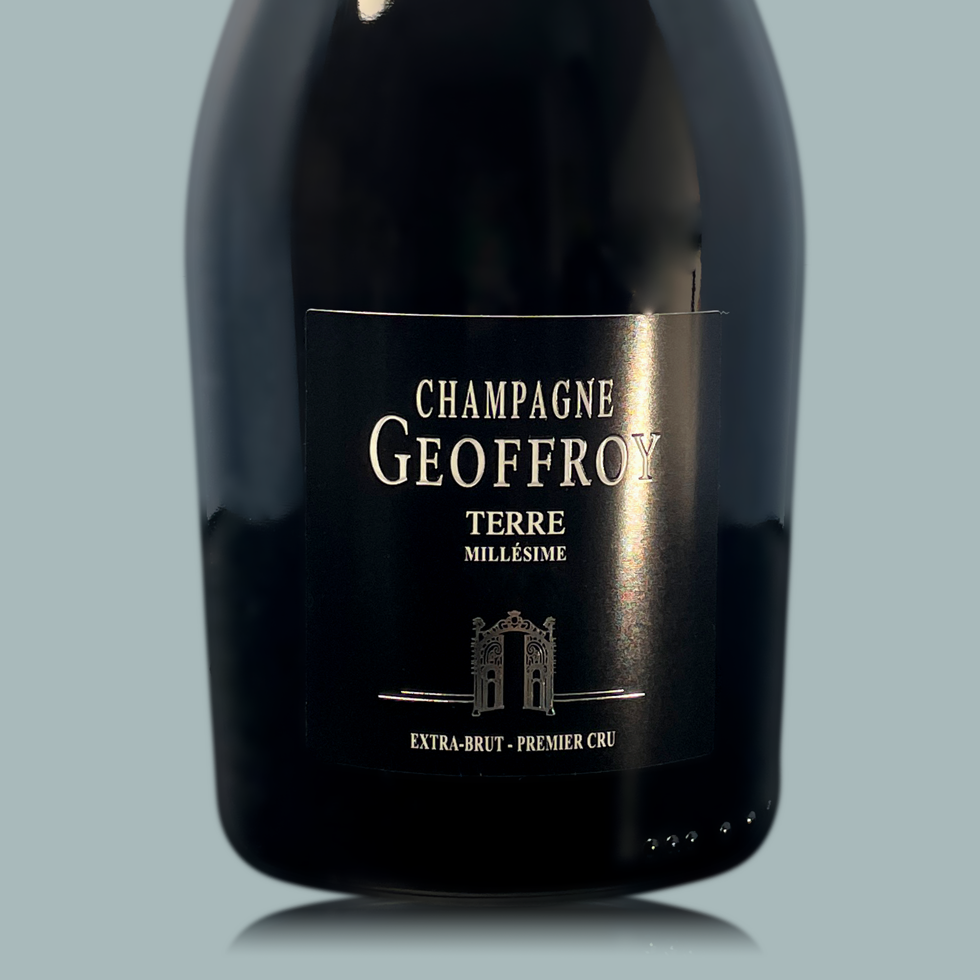 René Geoffroy Millésime 2012 Terre Extra Brut René Geoffroy Millésime 2012 Terre Extra Brut