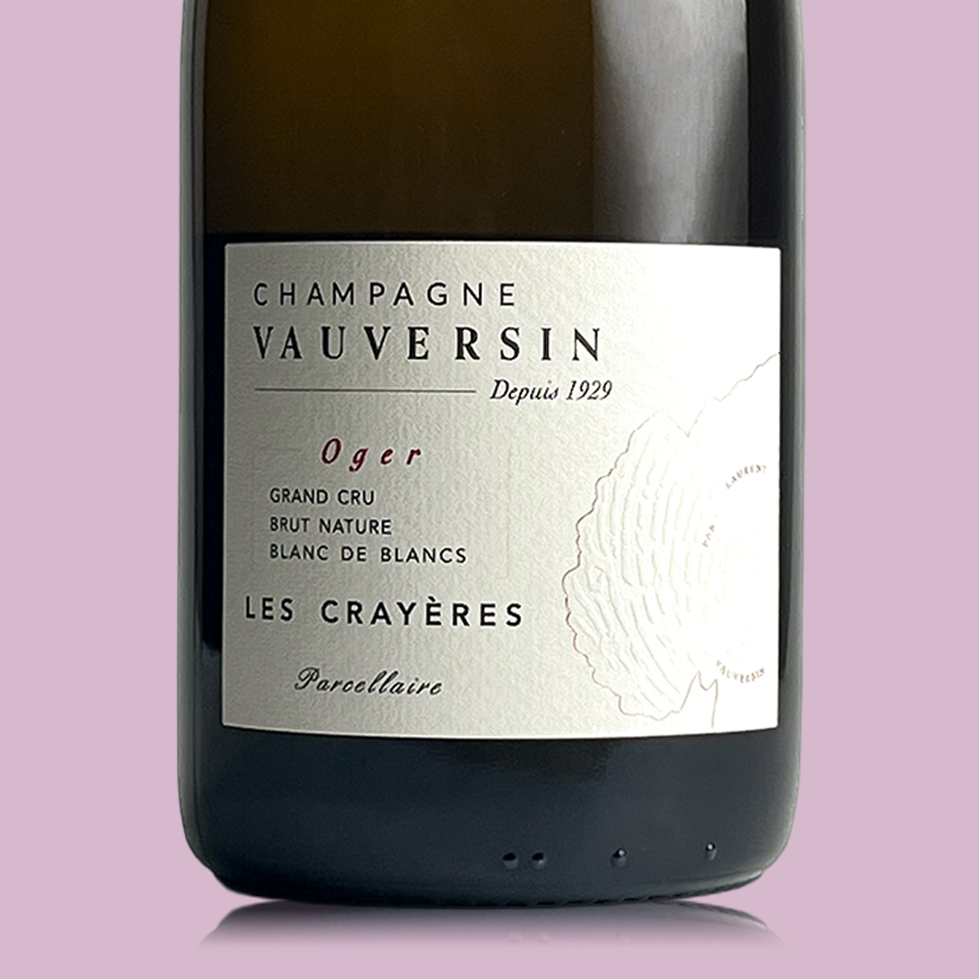 Vauversin Les Crayéres 2021 - Bio
