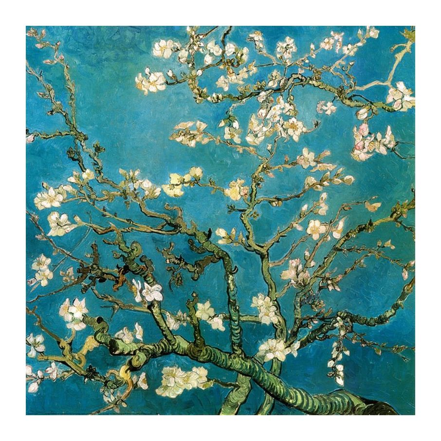 branches-d-amandier-en-fleurs-saint-remy-vincent-van-gogh