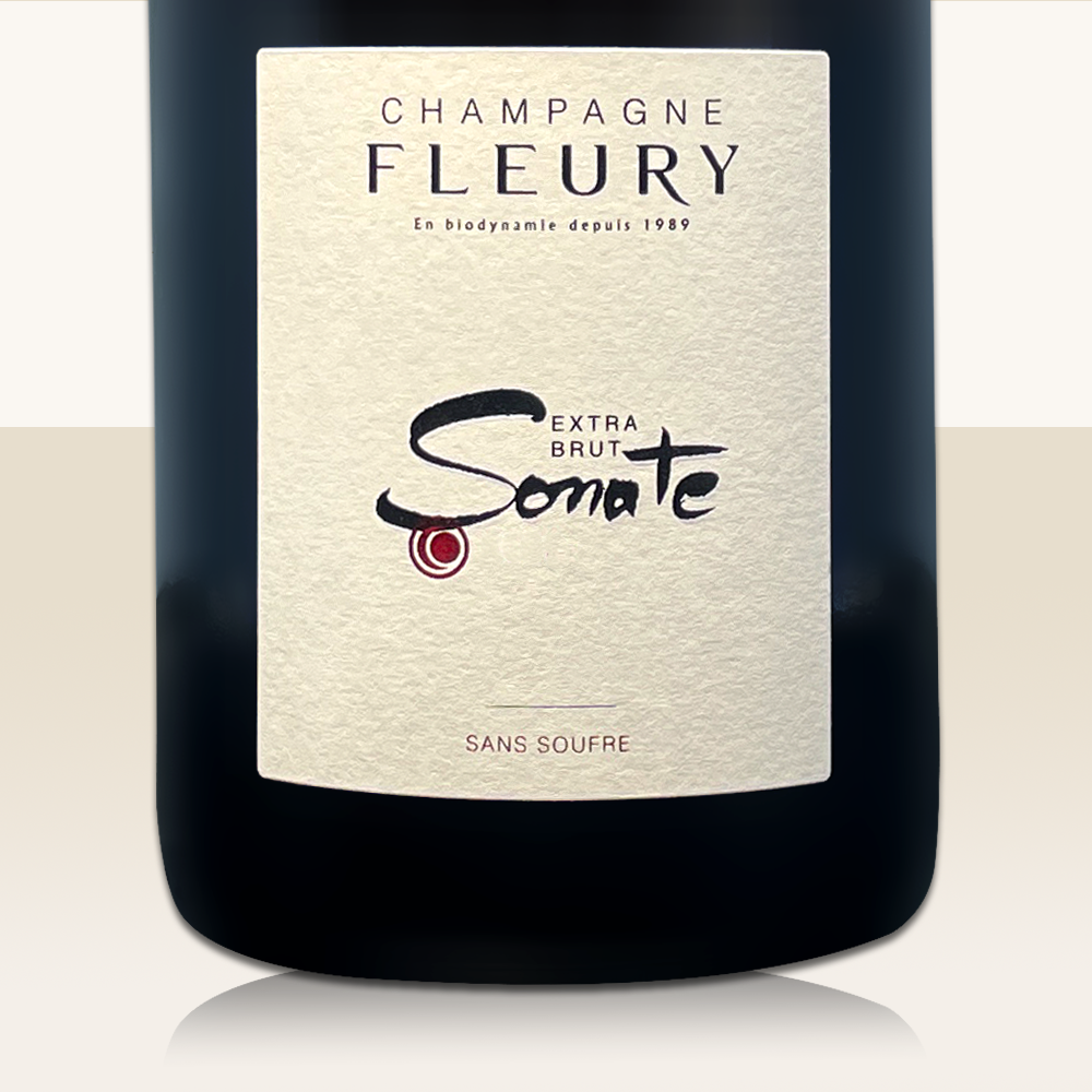 Fleury Sonate 2013 - Bio