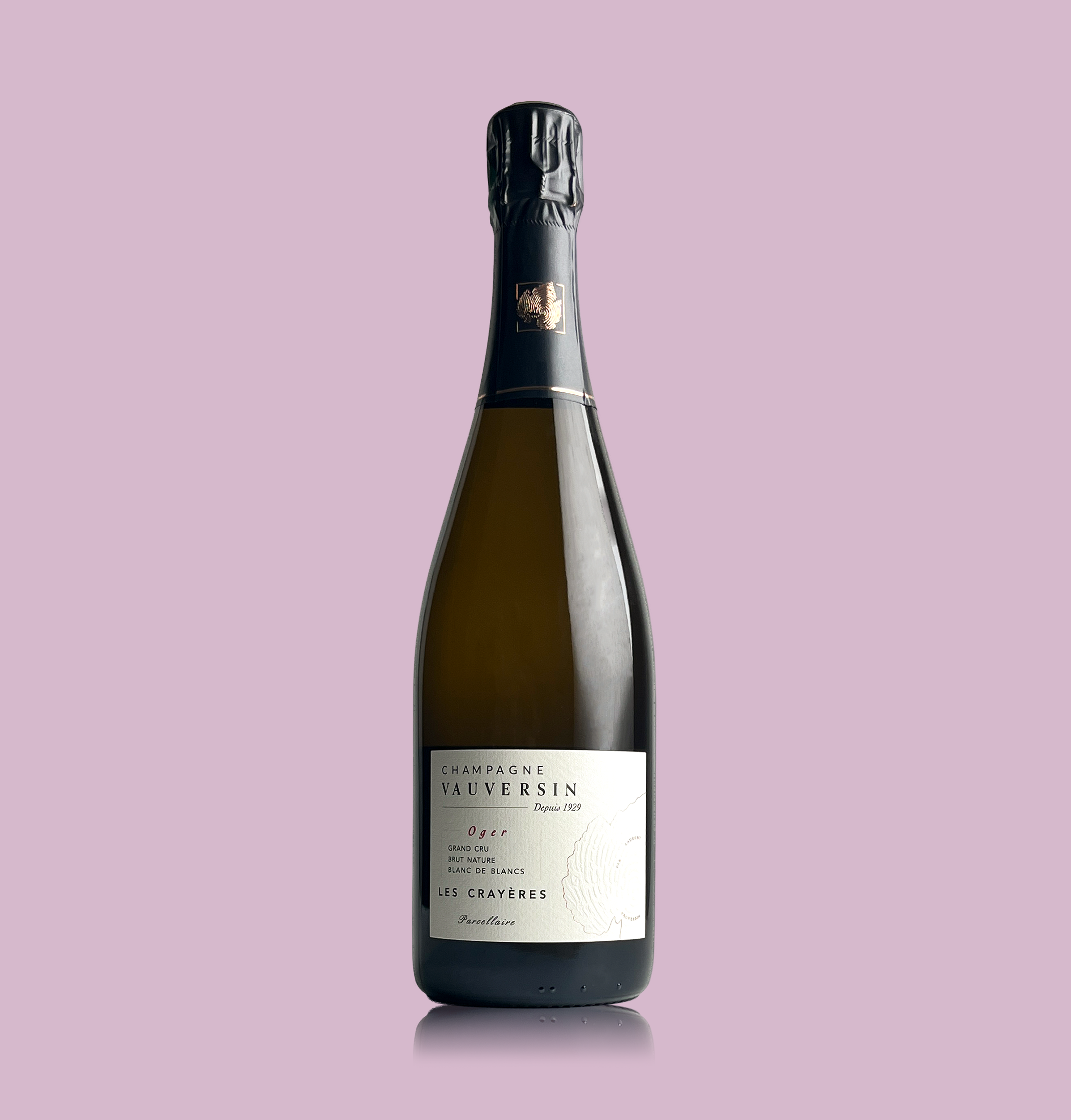 Vauversin Les Crayéres 2021 - Bio