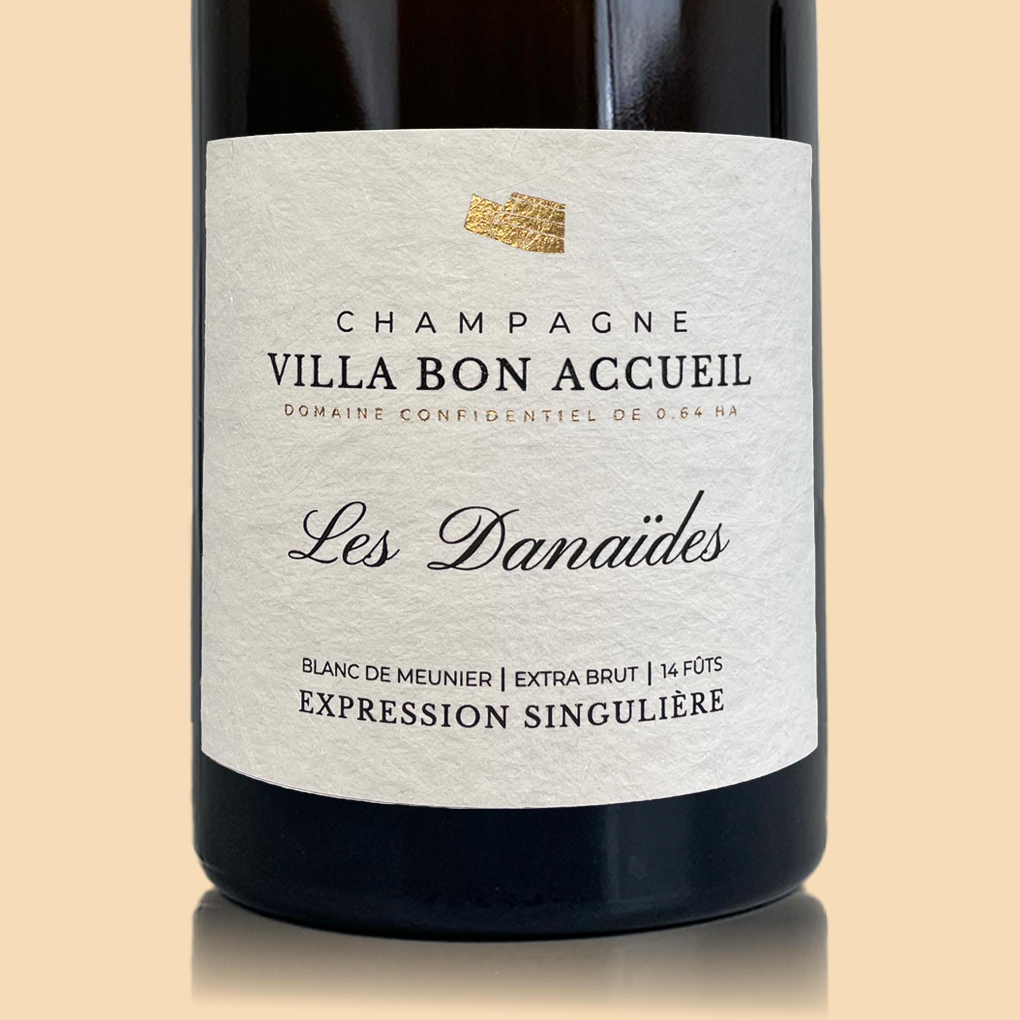 Domaine Villa Bon Accueil Les Danaïdes