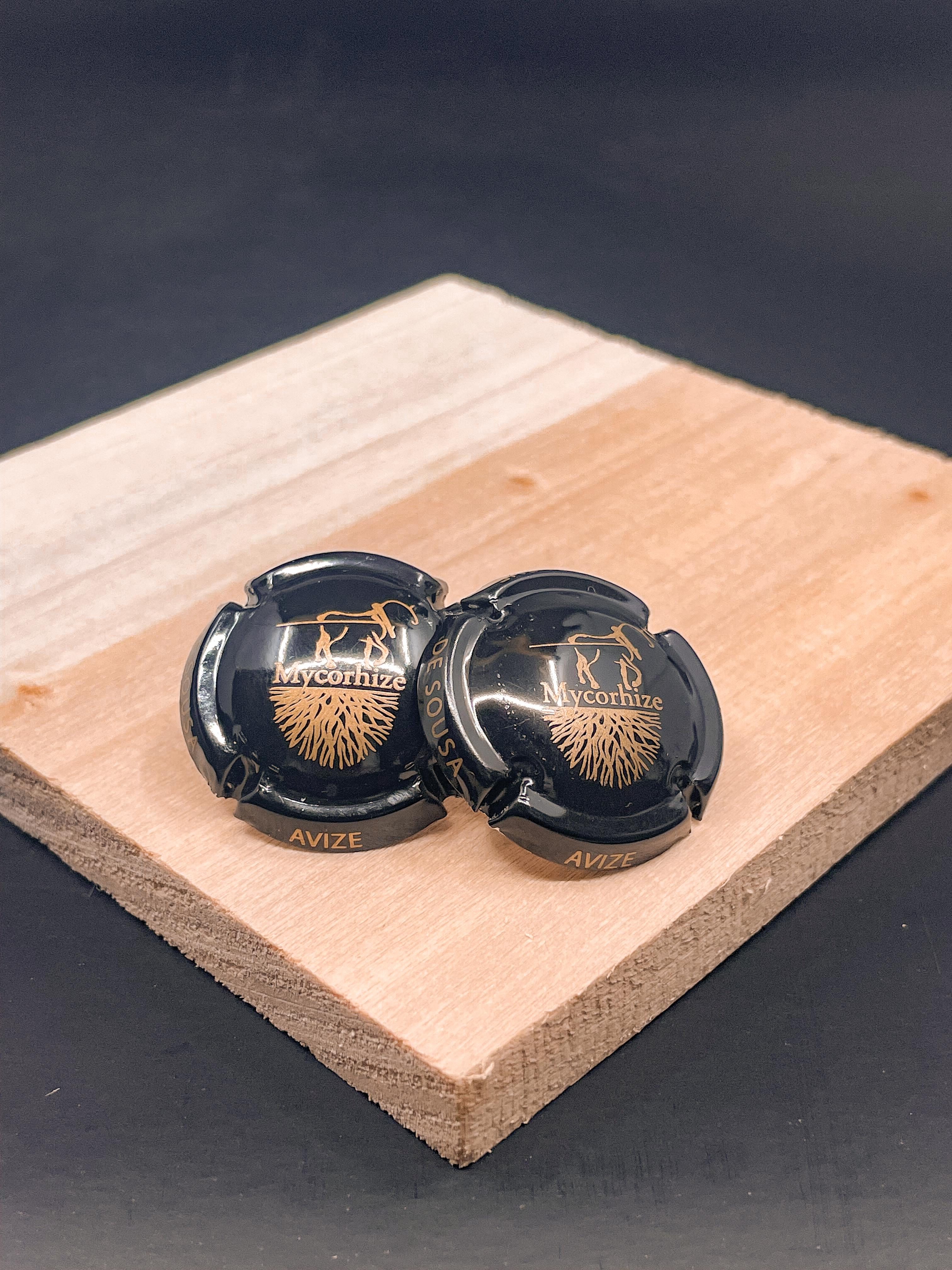 IMG_6752 Capsules Ohrstecker - Model De Sousa Mycorhize