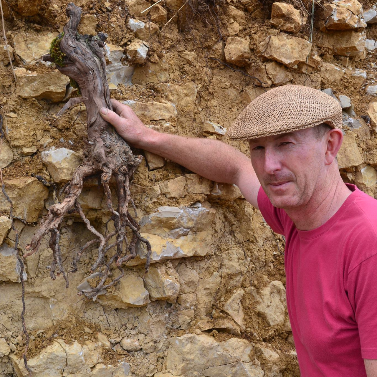 „Kimmeridge“-Boden „Kimmeridge“-Boden