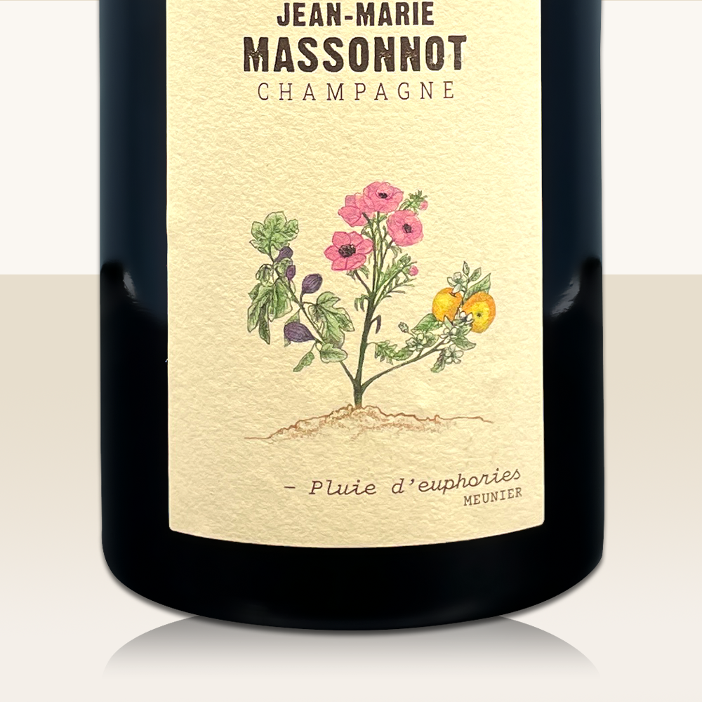 JM-Massonnot Pluie d'euphories