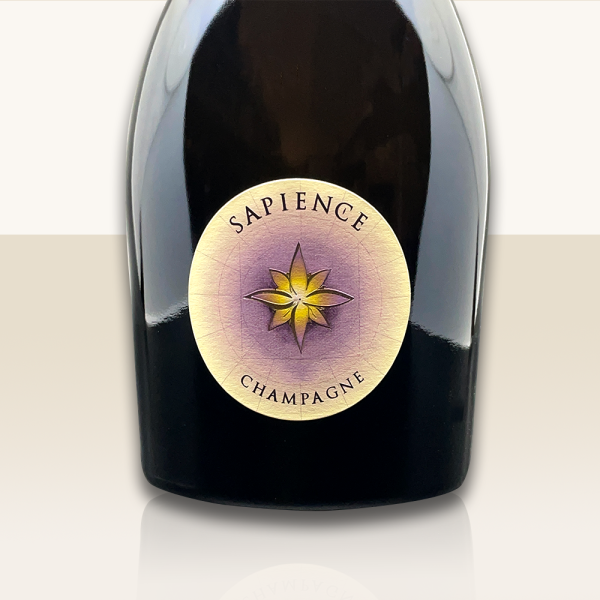 Benoit Marguet Sapience 2015 - Bio