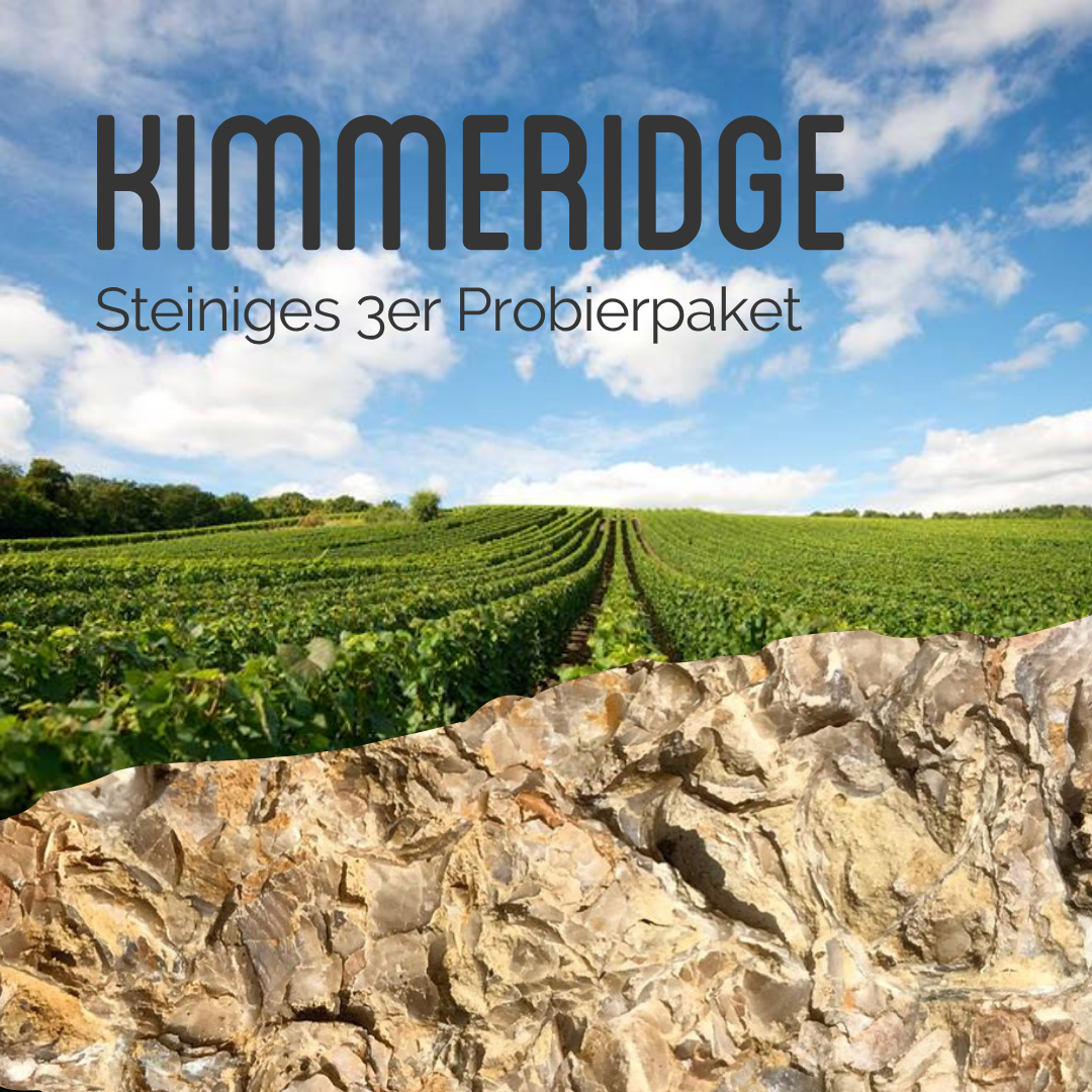 3er Probierpaket "Kimmeridge"