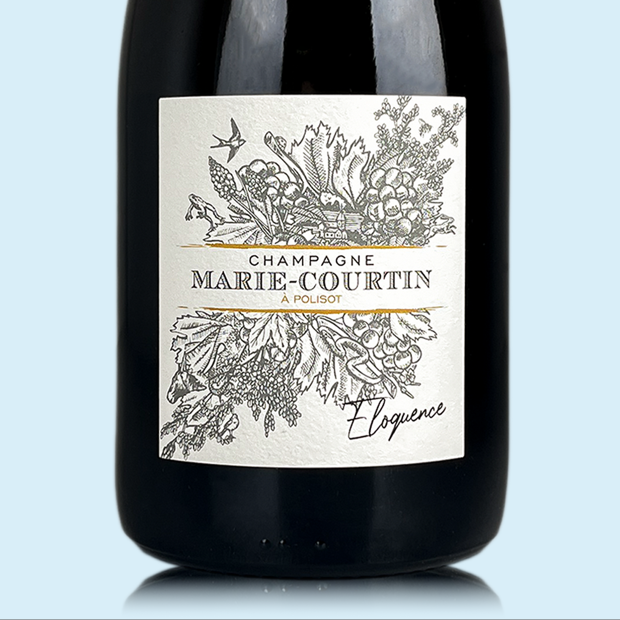 Marie Courtin Éloquence 2019 - Bio