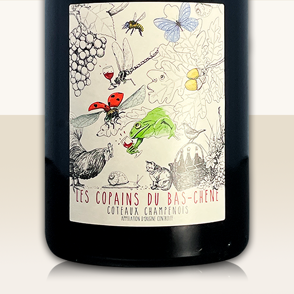 Domaine Laval Coteaux Champenois Rouge Les Copains du Bas Chêne 2020 - Still Wine