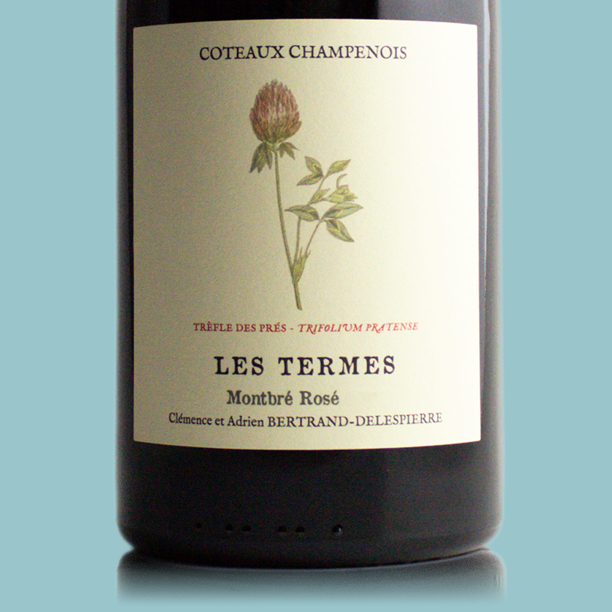 Bertrand-Delespierre Les Termes (Still Wine) Coteaux Rosé 2020