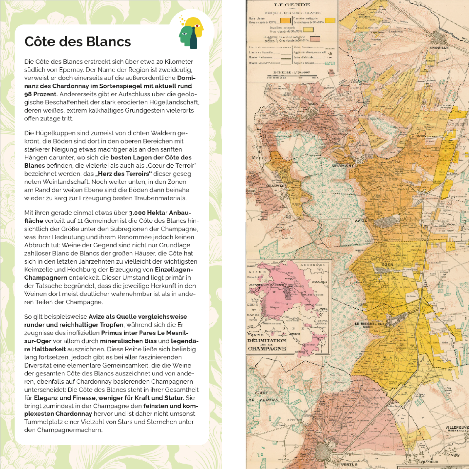 Region Map Côte des Blancs