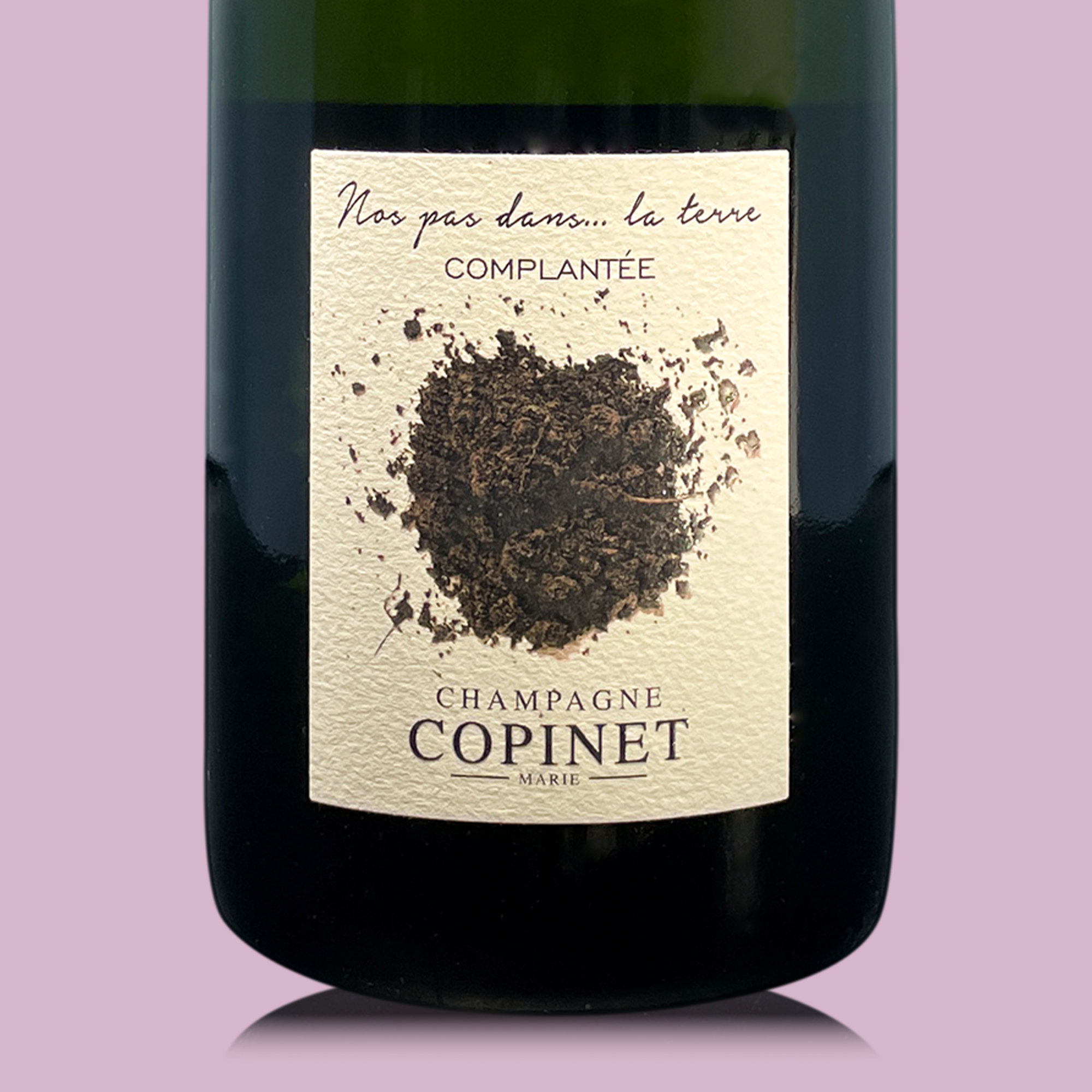 Marie Copinet Nos Pas Dans... La Terre