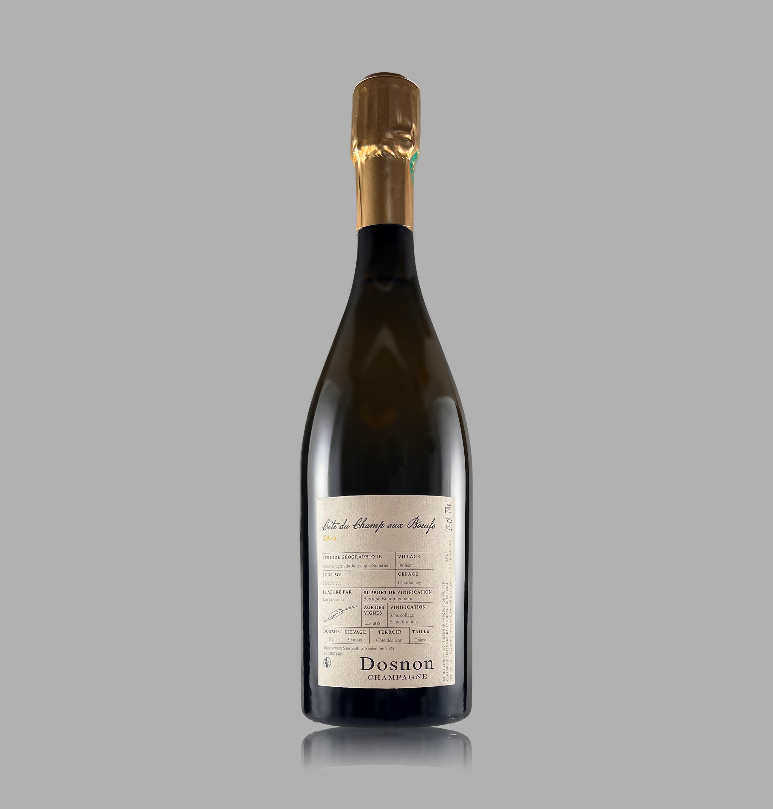 Dosnon Côte du Champ aux Boeufs 2020