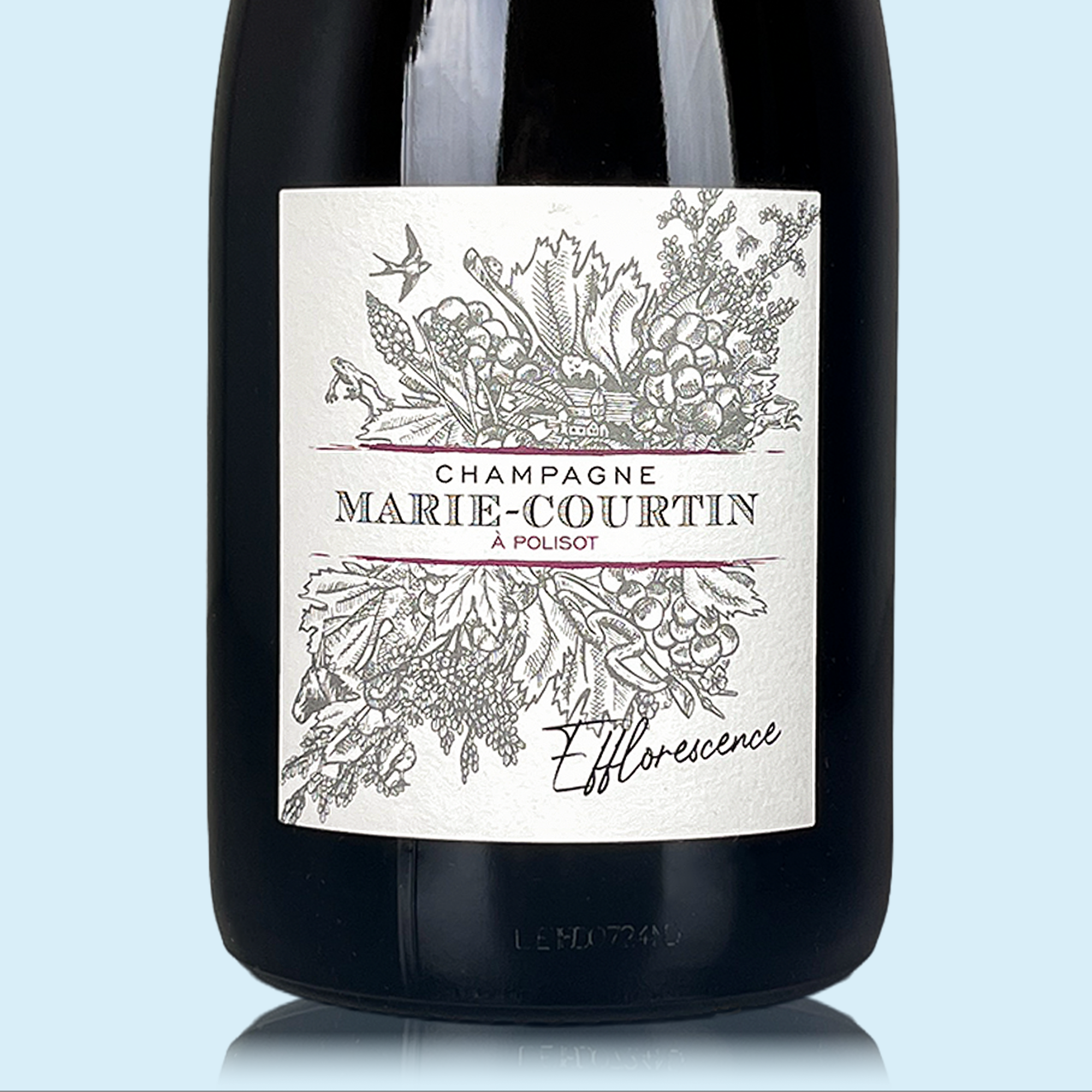 Marie Courtin Efflorescence 2018 - Bio