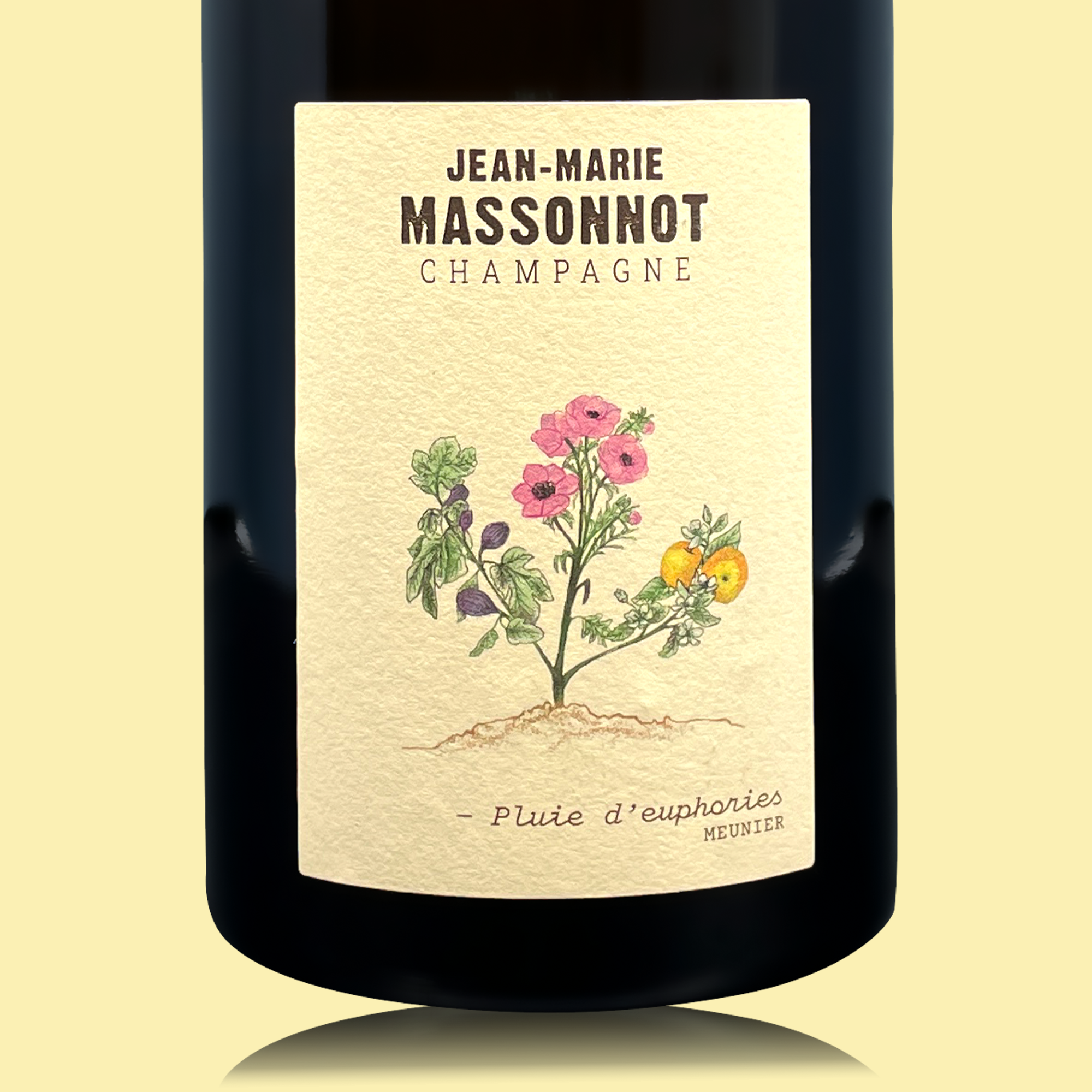 JM-Massonnot Pluie d’euphories