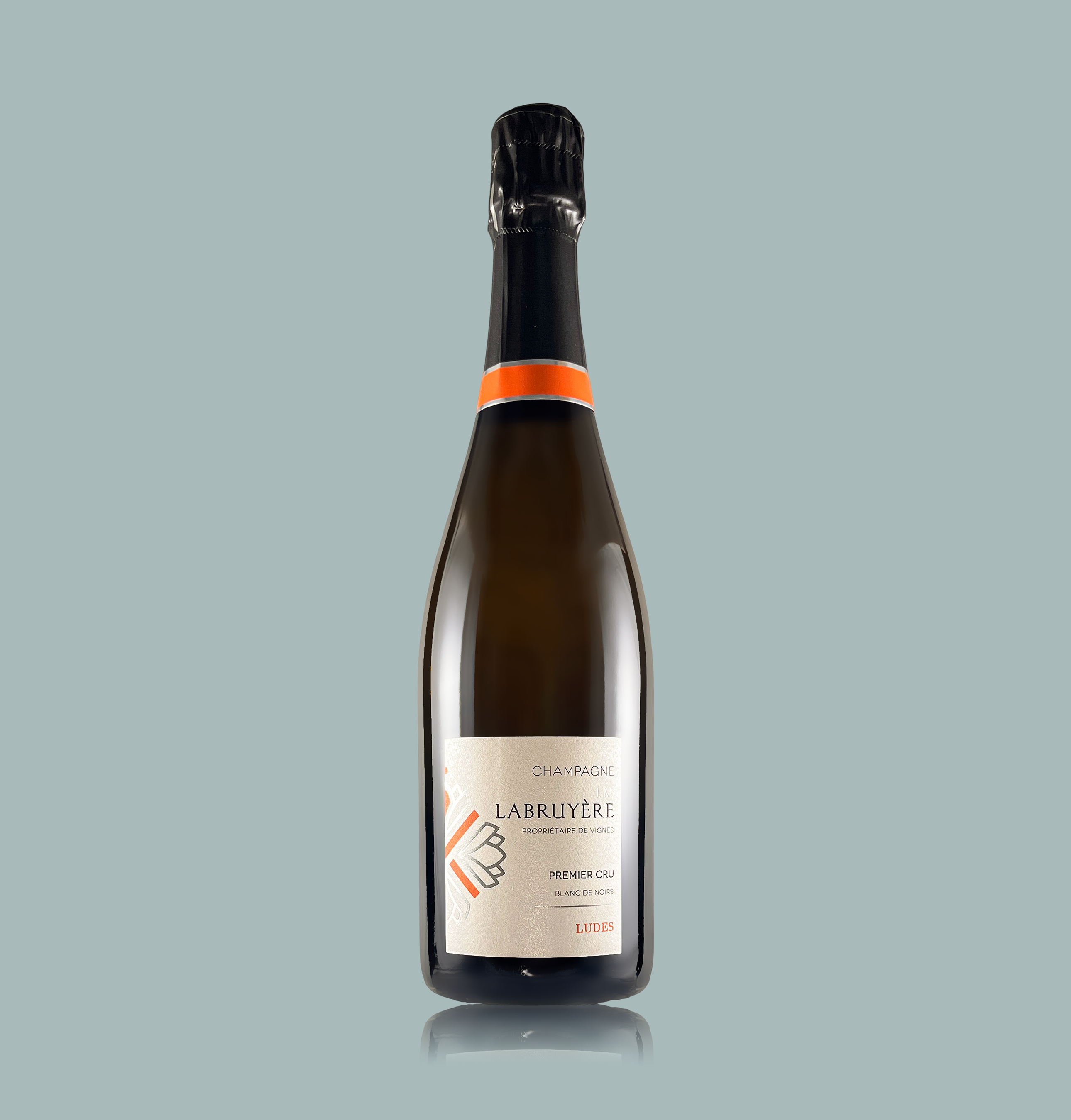 Labruyère 1er Cru - Ludes