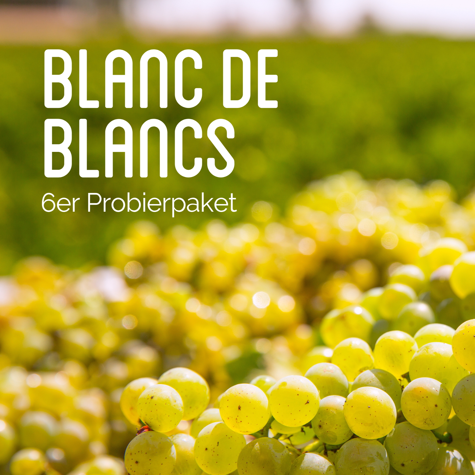 Taster Pack "Blanc de Blancs"