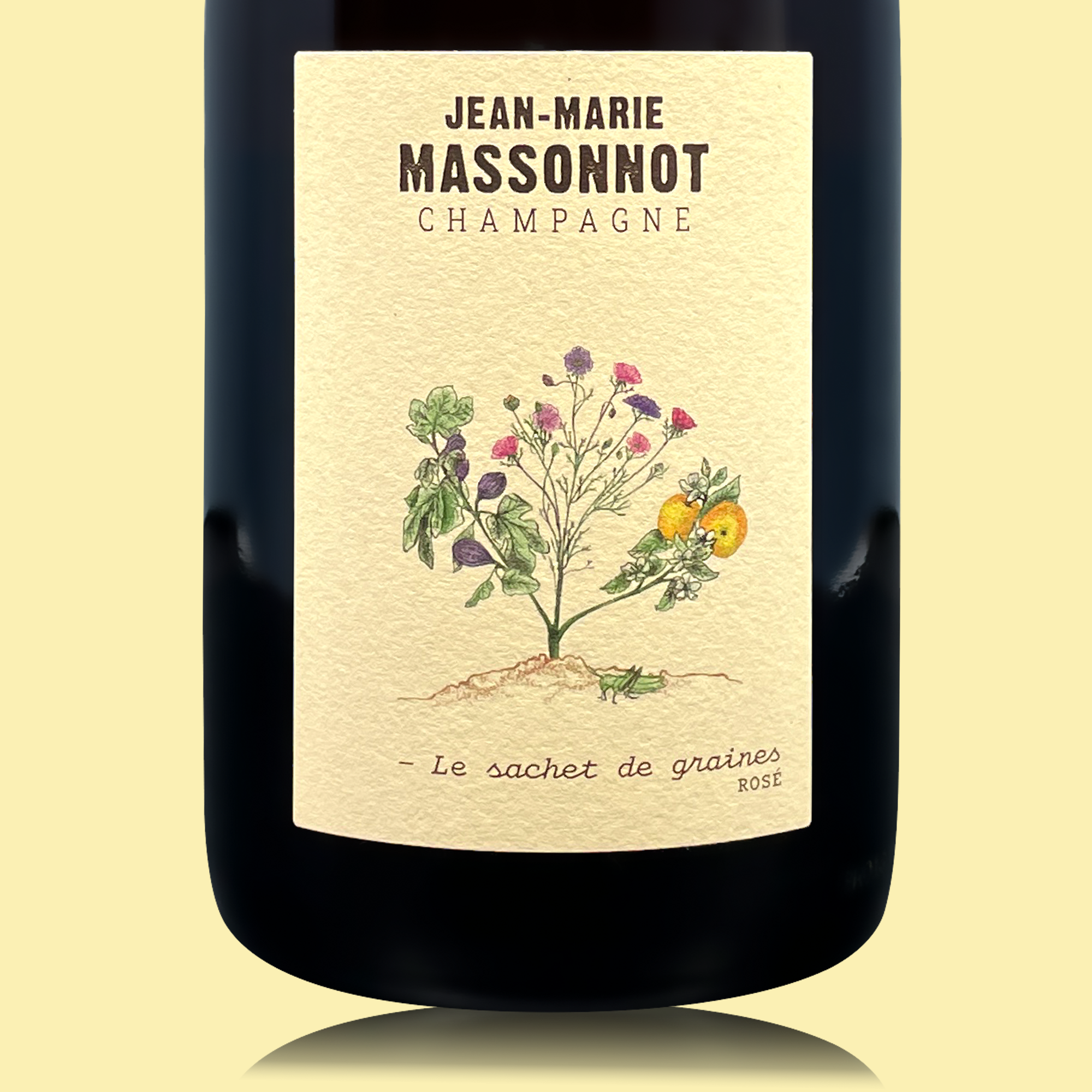 JM-Massonnot Le Sachet de Graines Rosé