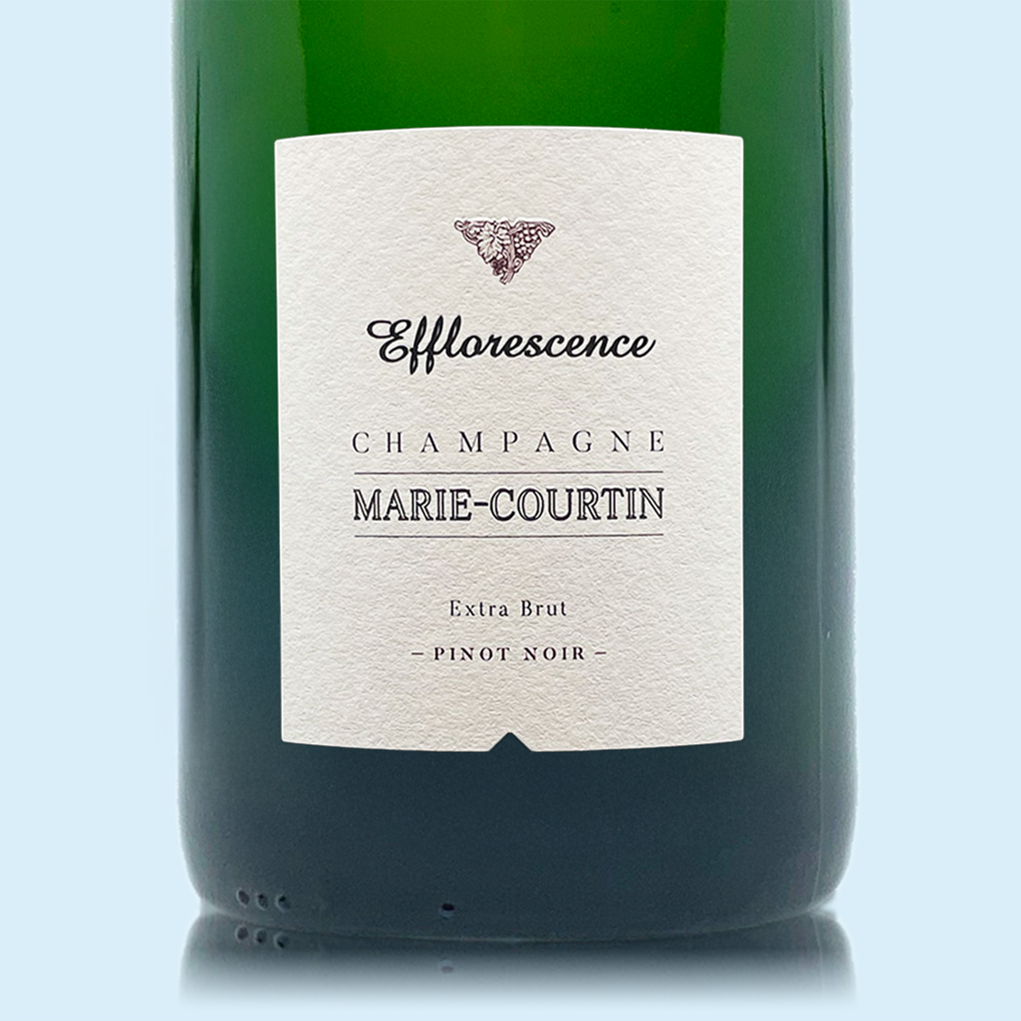 Marie Courtin Efflorescence 2018 - Bio