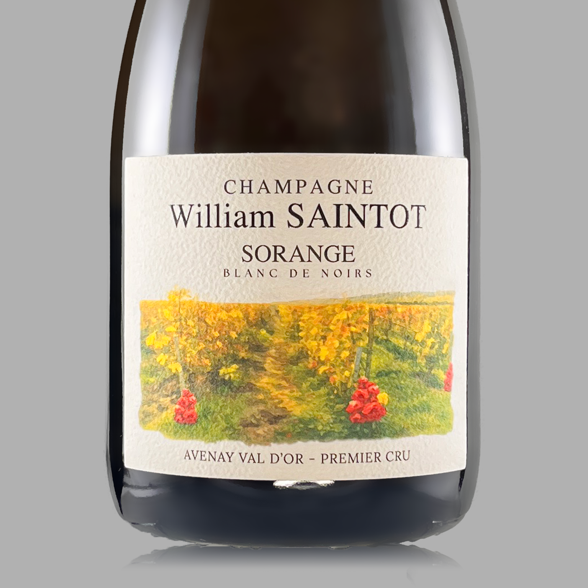 William Saintot Sorange 2020