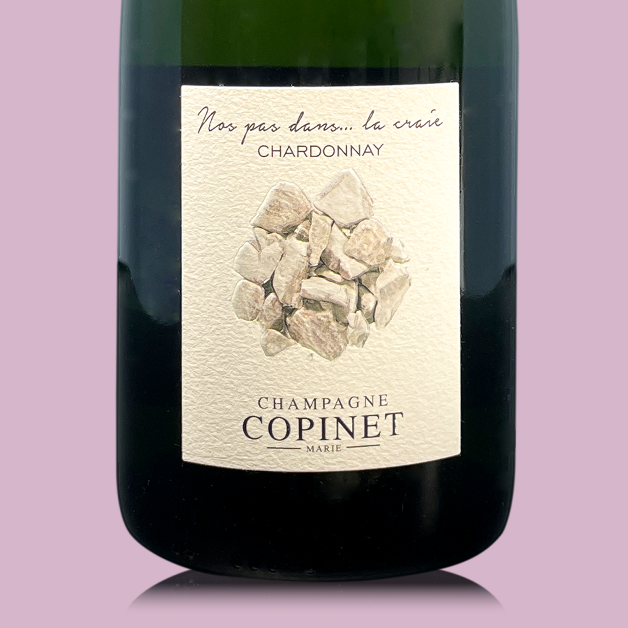 Marie Copinet Nos Pas Dans... La Craie