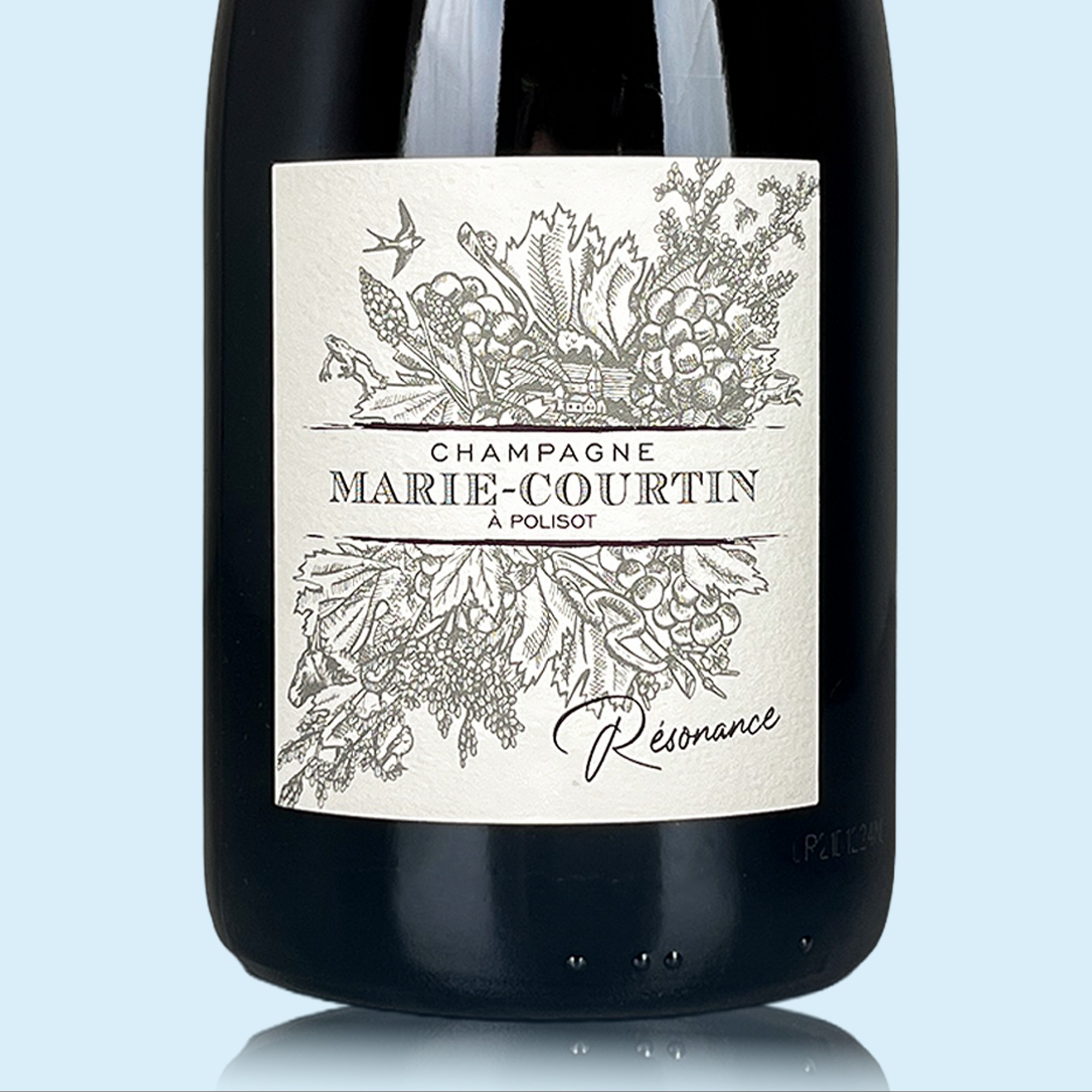 Marie Courtin Résonance 2021 - Bio