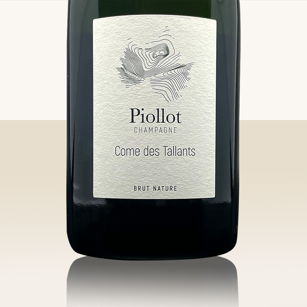 Piollot Les Petites Mains (still wine) 2020 Coteaux Champenois Rouge - Bio