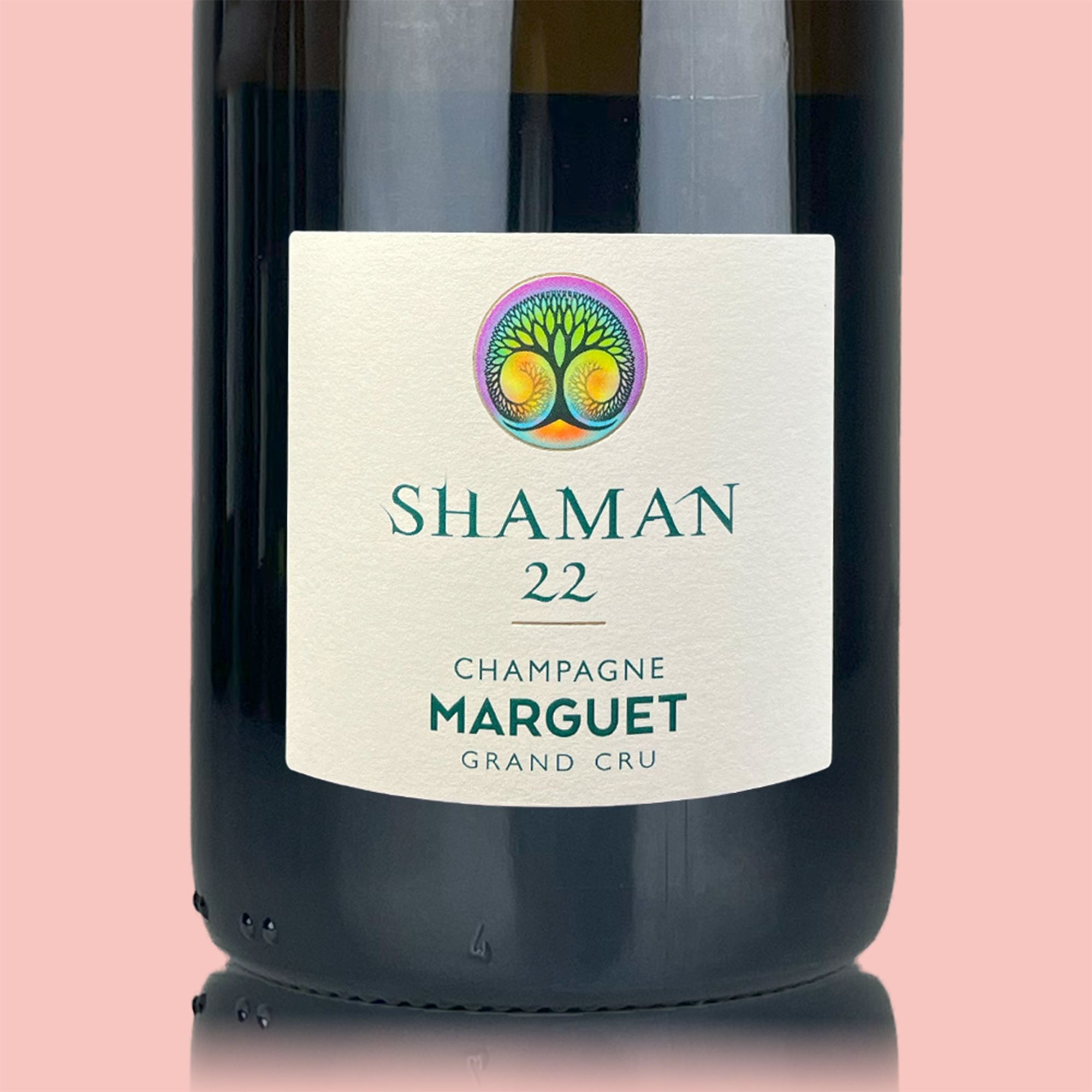 Benoit Marguet Shaman 22 - Bio