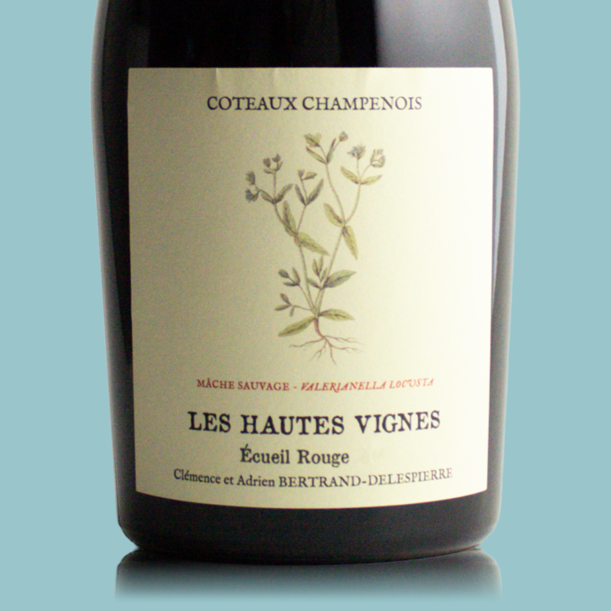Bertrand-Delespierre Les Hautes Vignes (Stillwein) Coteaux Rouge 2016