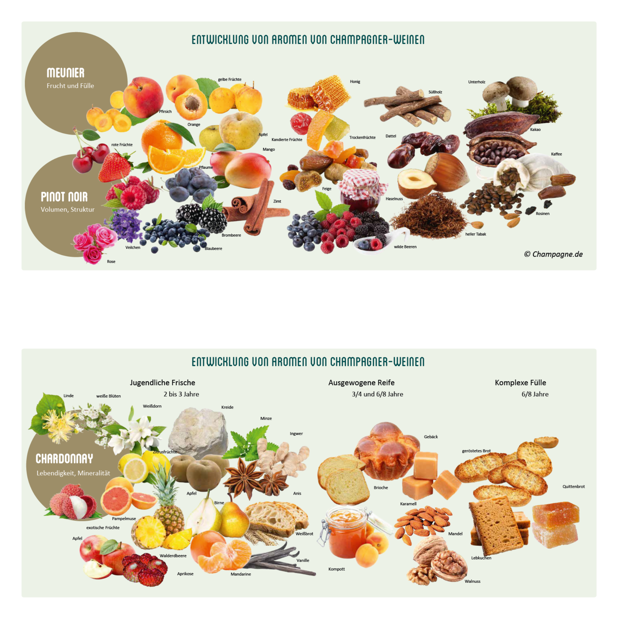 Information "Aroma development in Champagne wines"