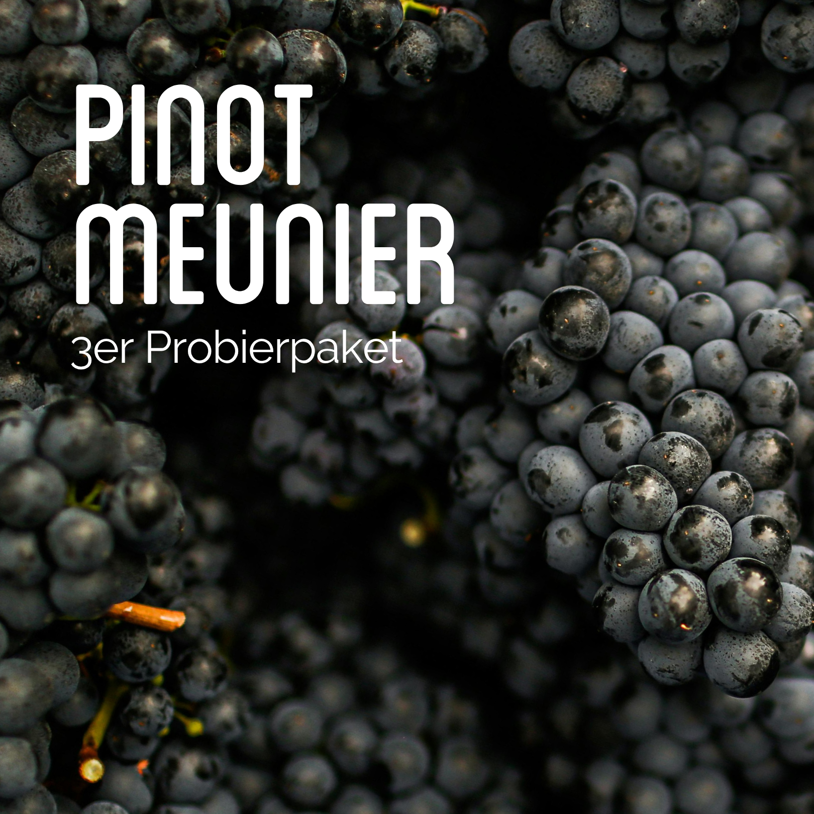 Pinot Meunier Probierpaket - 3 Flaschen