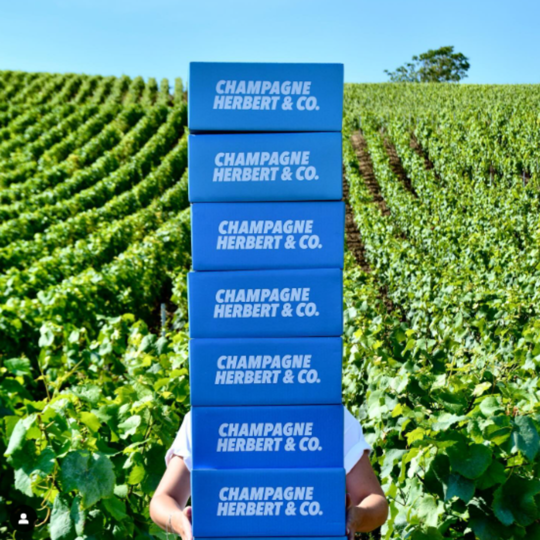 Herbert der Design Guru