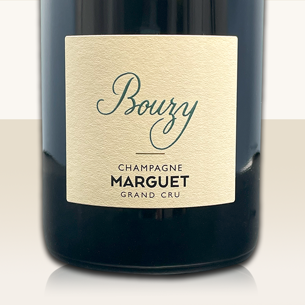 Benoit Marguet Bouzy Grand Cru 2019 - Bio