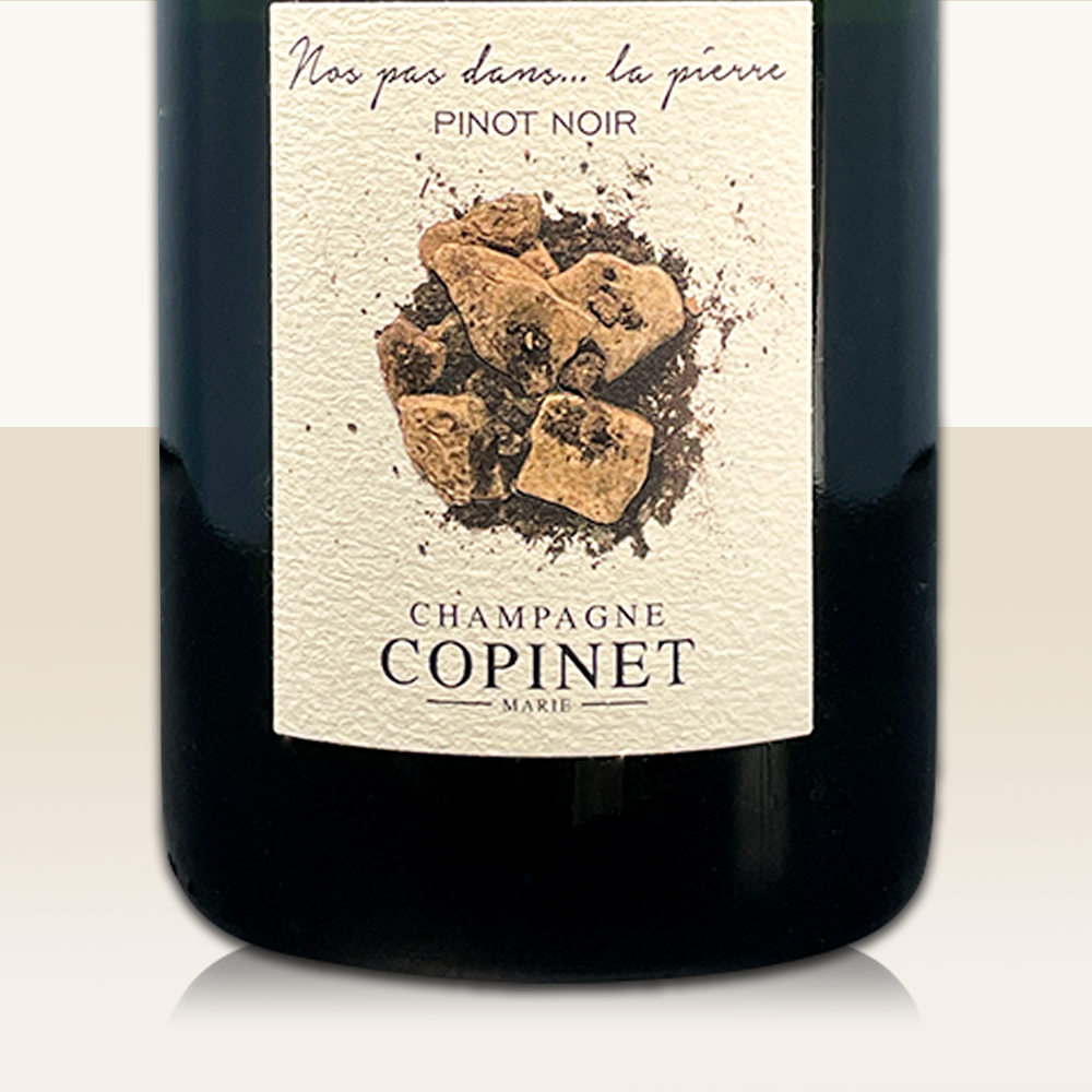 Marie Copinet Nos Pas Dans... La Pierre - Bio