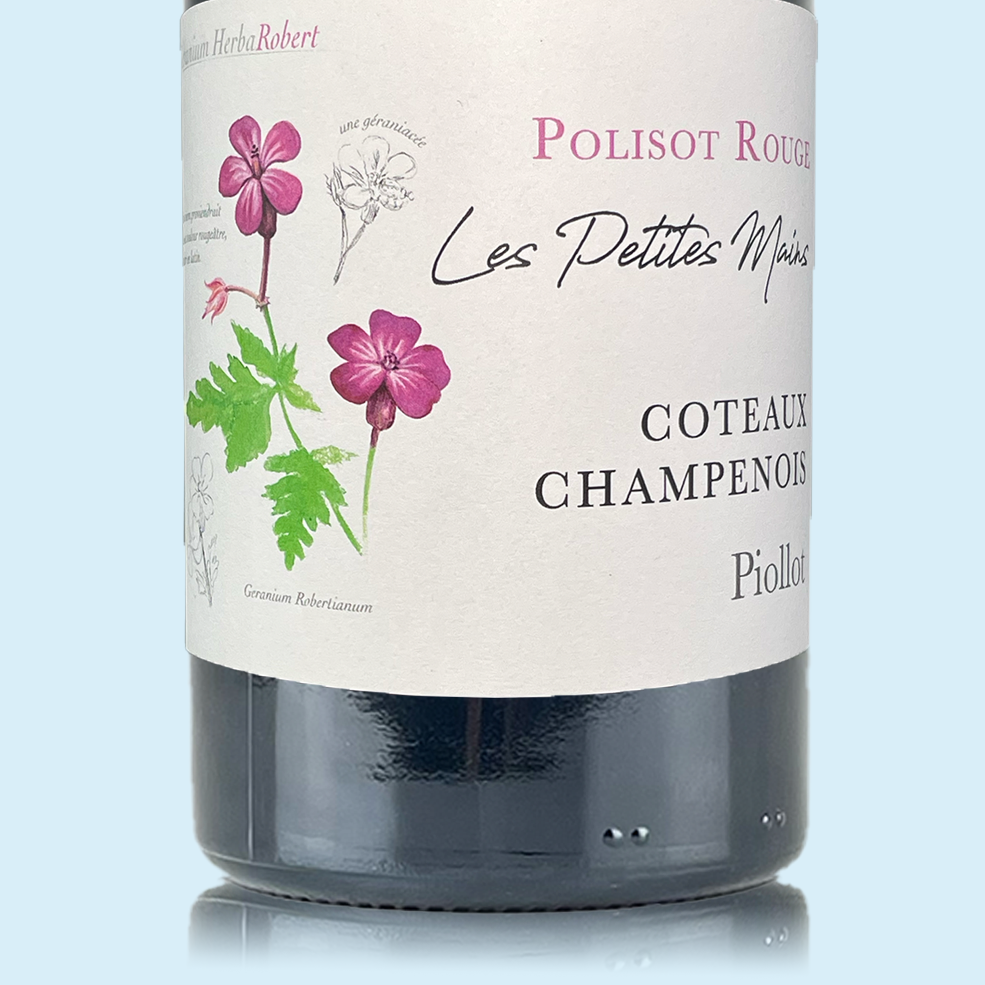 Piollot Les Petites Mains (still wine) 2020 Coteaux Champenois Rouge - Bio