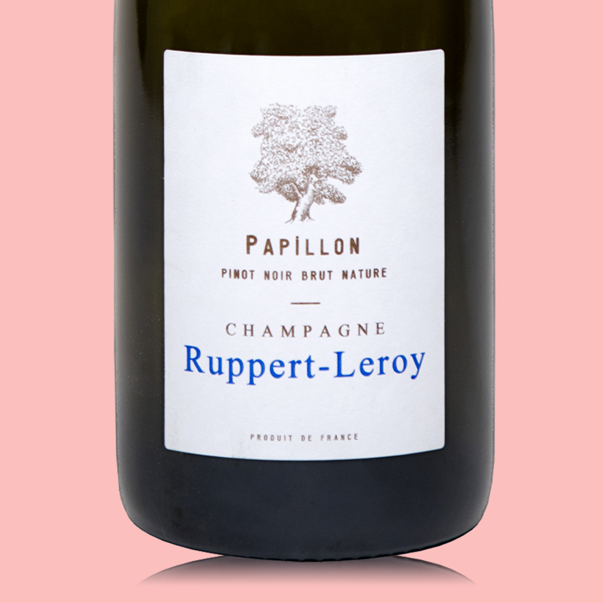 Ruppert-Leroy Cuvée Papillon V22 - Bio
