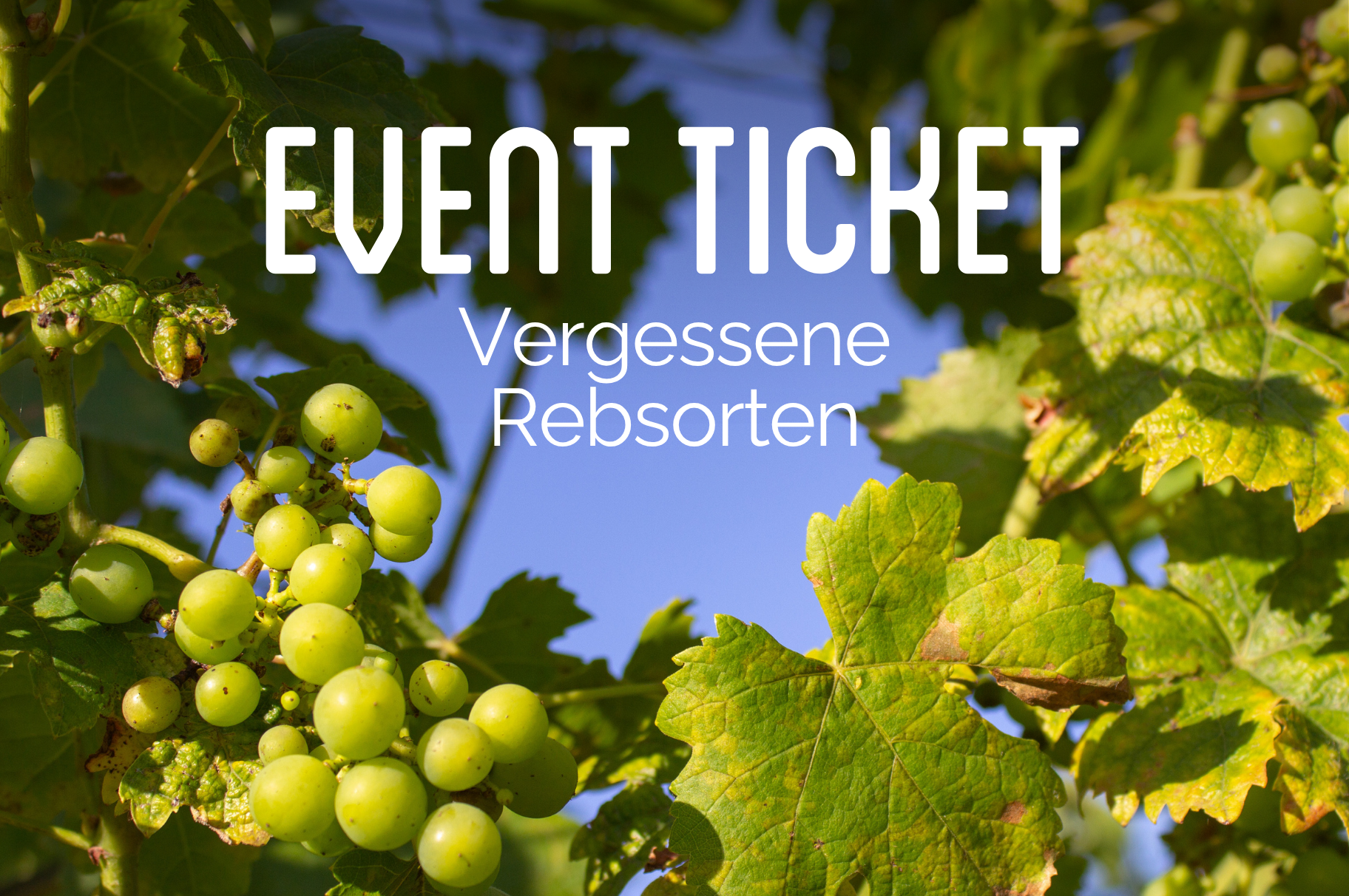 Verkostung "Vergessene Rebsorten" - Do 12.11.2026 