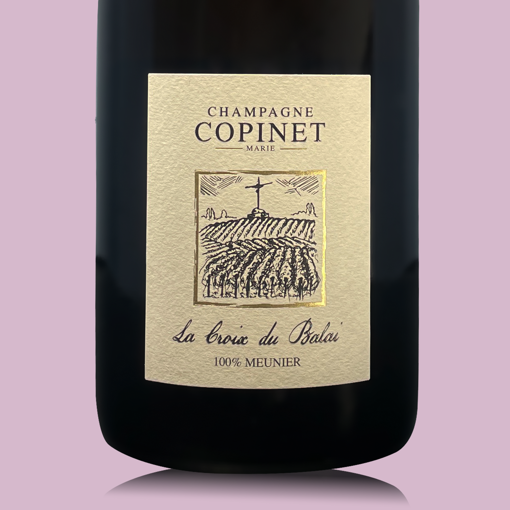 Marie Copinet La Croix Du Balai