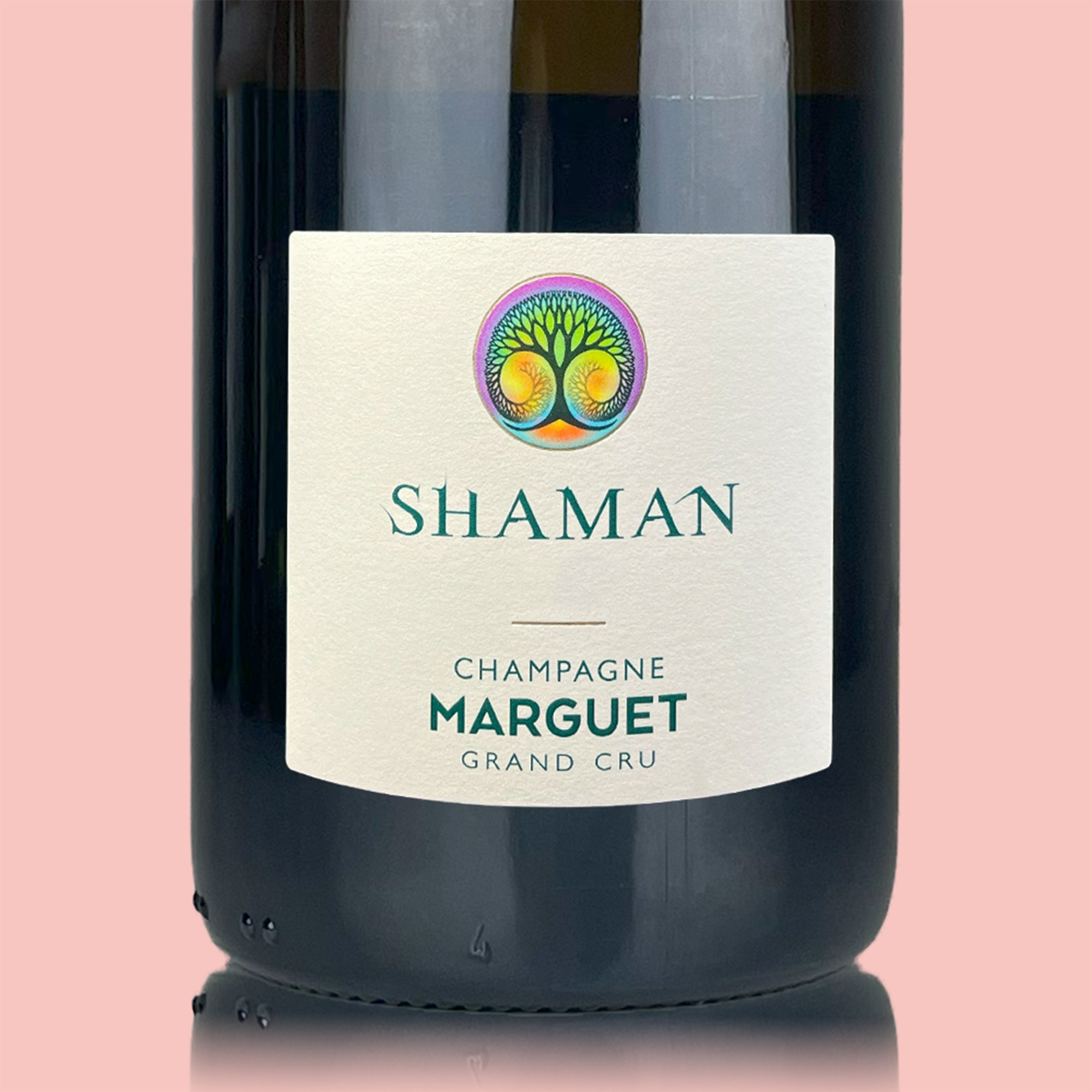 Benoit Marguet Shaman 21 - Bio