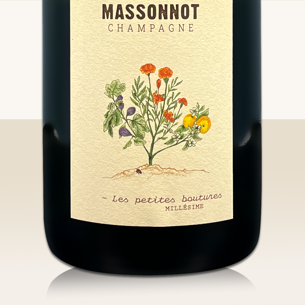 JM-Massonnot Les Petites Boutures Millésime 2015
