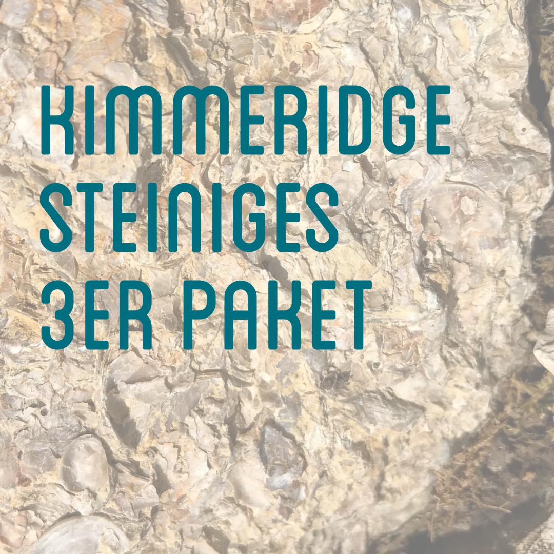 3er Probierpaket "Kimmeridge"