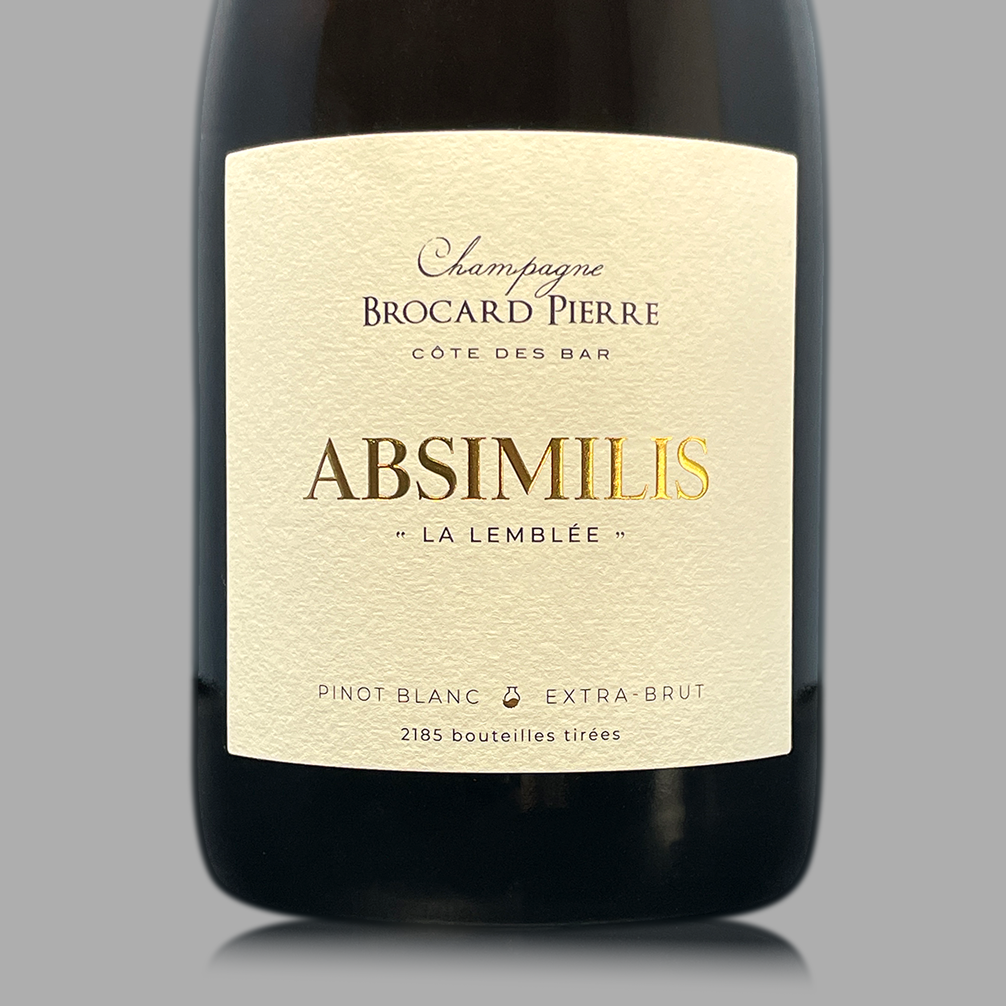 Pierre Brocard Absimilis 2019