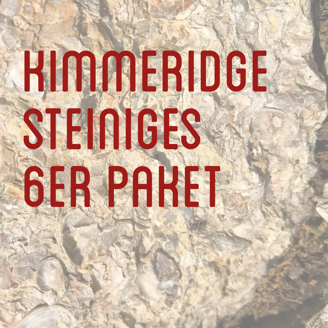 6er Probierpaket "Kimmeridge"