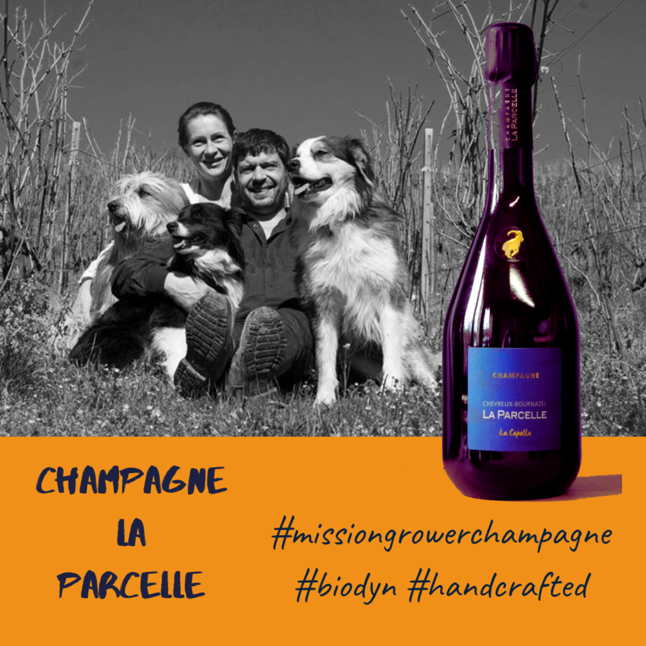 Neuer Trend in der Champagne: Mikrowinzer! Neuer Trend in der Champagne: Mikrowinzer!