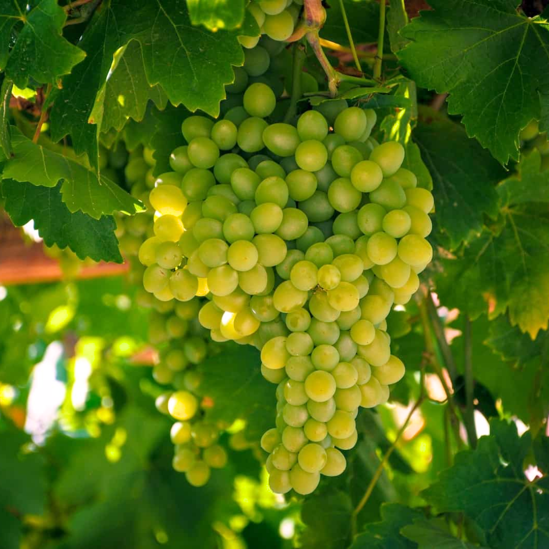 Die kleinen Durchbrüche im Leben