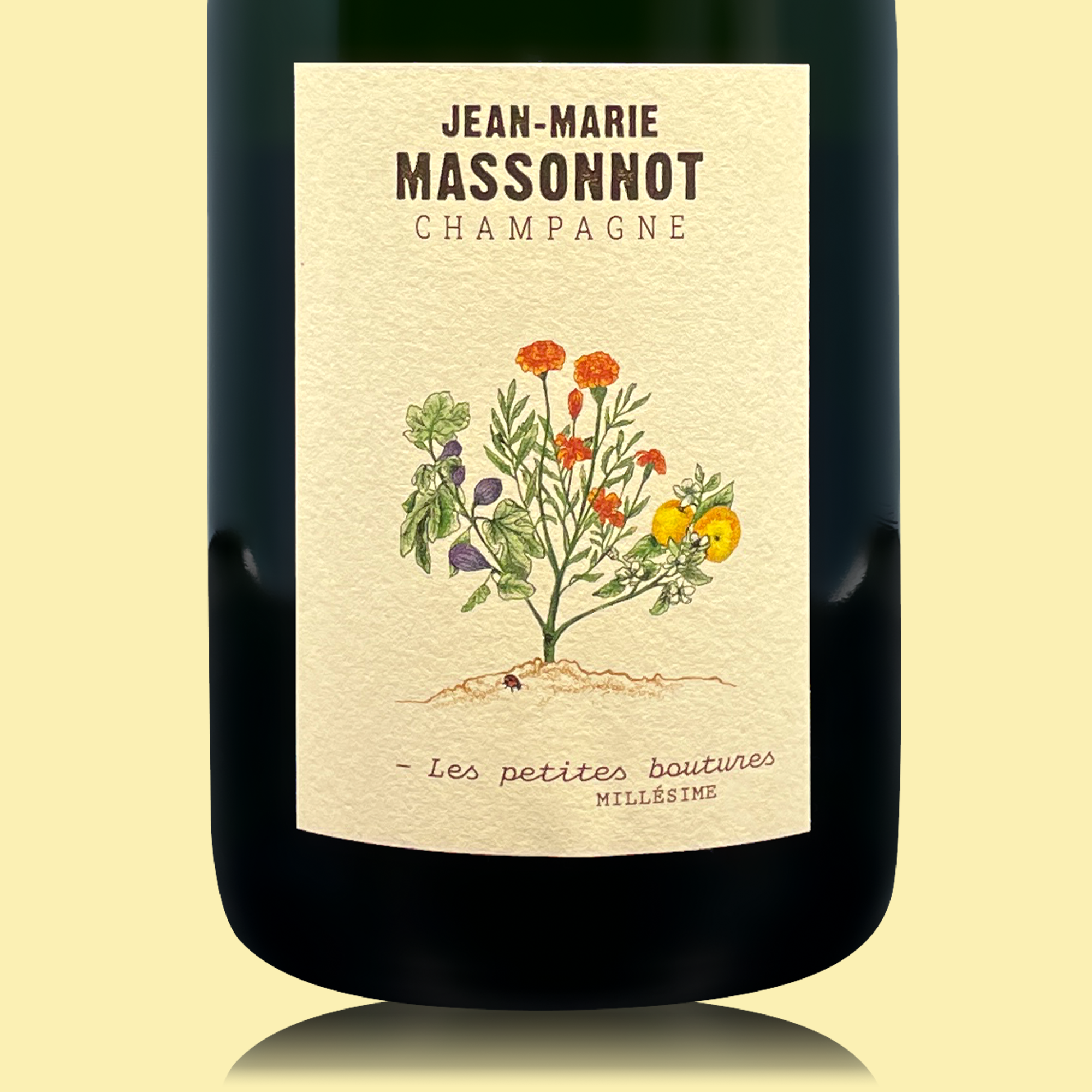 JM-Massonnot Les Petites Boutures Millésime 2015