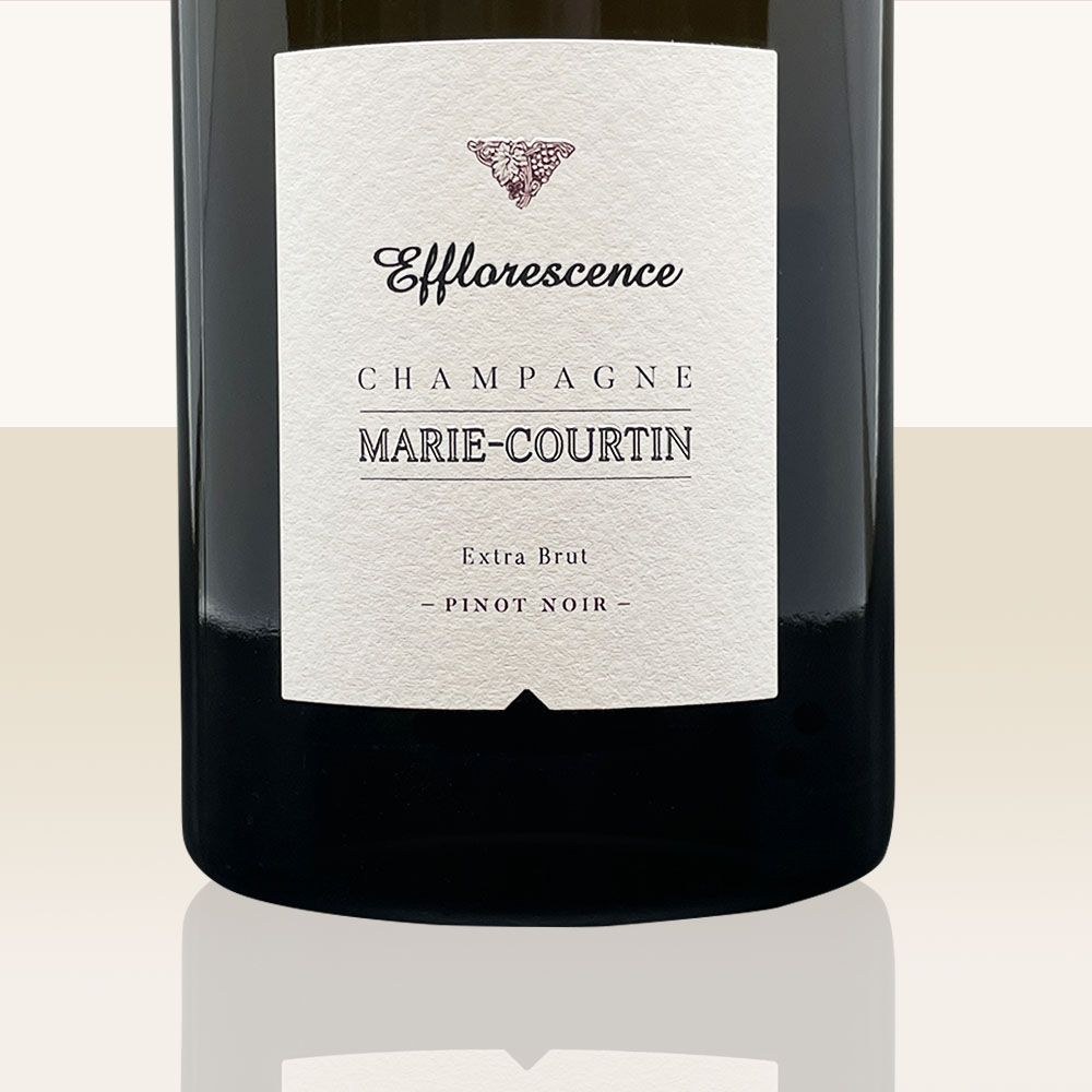 Marie Courtin Efflorescence 2018 - Bio